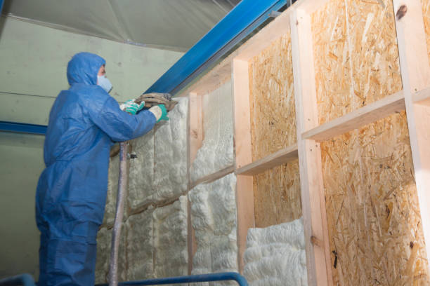 Best Local Insulation Services  in Fox Point, WI
